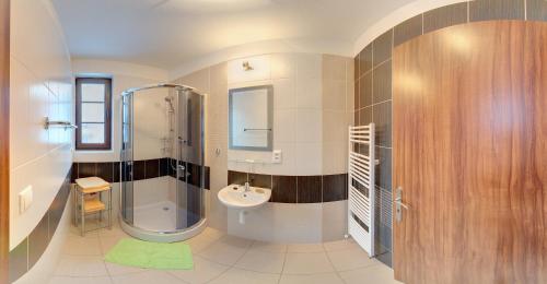 a bathroom with a shower sink and a toilet at Rekreačný dom Vyhne in Vyhne