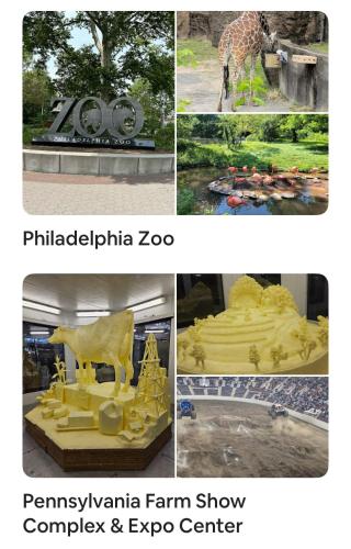 a collage of pictures of a giraffe and a cake at The Highland Oasis in Ephrata