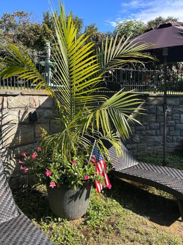 a palm plant in a pot next to a bench at The Highland Oasis in Ephrata