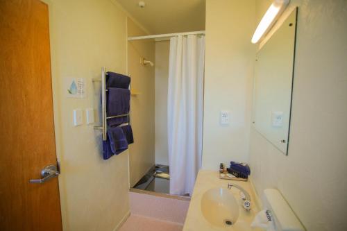 a bathroom with a sink and a shower at Abbots Hamilton – Hotel and Conference Centre in Hamilton