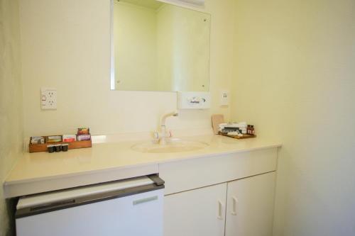 a bathroom counter with a sink and a mirror at Abbots Hamilton – Hotel and Conference Centre in Hamilton
