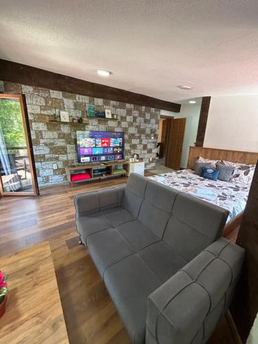 a living room with a couch and a tv at Villa ANA-Mavrovo in Mavrovo