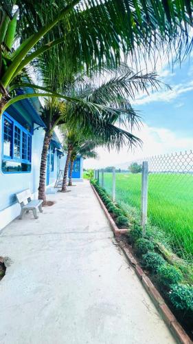 Taman di luar Homestay Về Nhà Chơi