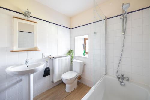 a bathroom with a toilet and a sink and a shower at Mas Combefa in Combefa