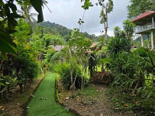 a path through the jungle with a house in the background at Malulee KhaoSok Resort in Khao Sok