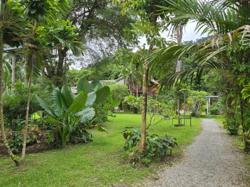 a path through a garden with palm trees and grass at Malulee KhaoSok Resort in Khao Sok