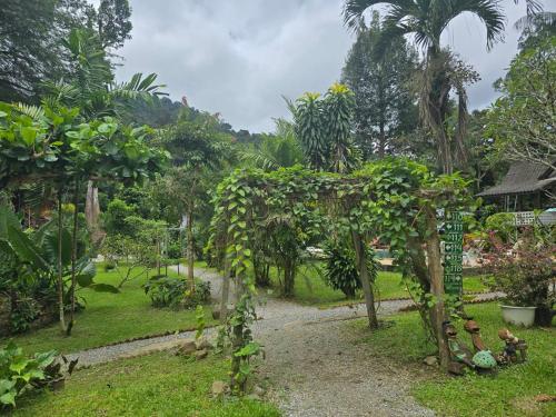 a garden with a arch covered in vines at Malulee KhaoSok Resort in Khao Sok