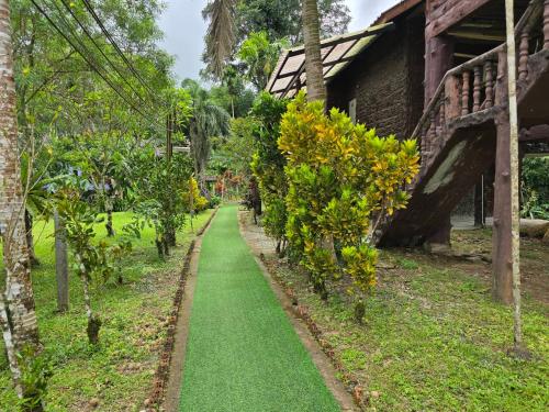 a path in front of a house with green grass at Malulee KhaoSok Resort in Khao Sok