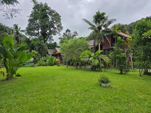 a green yard with a house in the background at Malulee KhaoSok Resort in Khao Sok