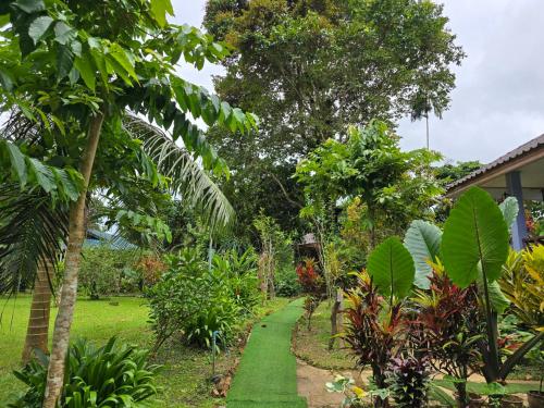 a path through a garden with trees and a house at Malulee KhaoSok Resort in Khao Sok