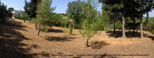 a group of trees in a field with a house at Secluded 1.8 acre garden Villa, for exclusive use with Stunning Views. in Kalandra