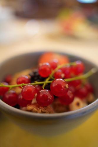 Jídlo v hotelu nebo okolí