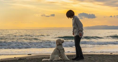 a boy and a dog sitting on the beach at UMITO VILLA KAMAKURA Zaimokuza in Kamakura