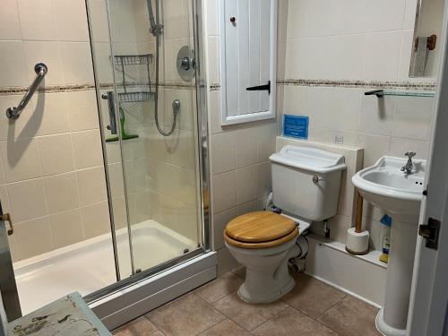 un bagno con doccia, WC e lavandino di Kilsby Cottage a Llanwrtyd Wells