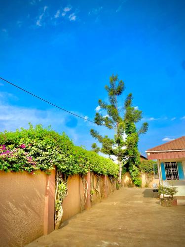 a fence with flowers and a tree in the background at Jacobin Guest House & Cottages in Namulanda