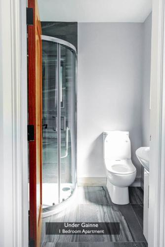 a bathroom with a toilet and a glass shower at Under Gainne #2 in Downings