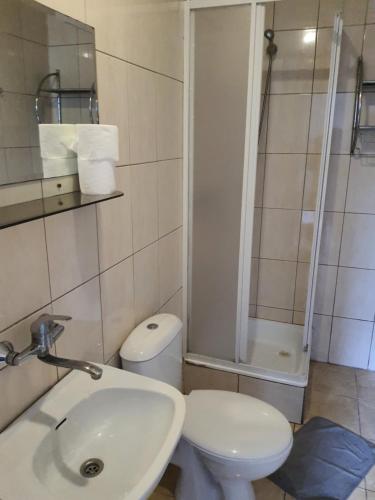 a bathroom with a toilet and a sink and a shower at Kwatery pracownicze in Tomaszów Mazowiecki