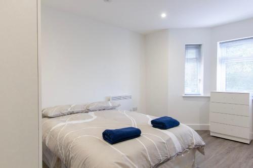 a bedroom with a bed with blue pillows on it at Radstock Road - Room 1b in Southampton