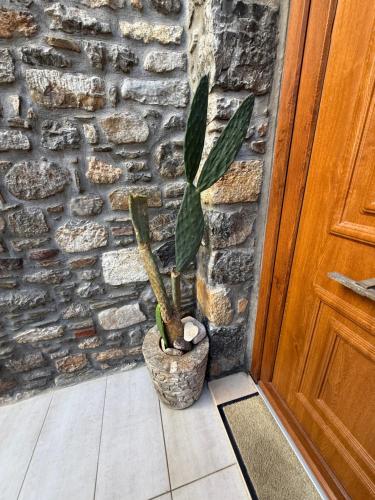 a plant in a pot next to a brick wall at Villa GIANNAKOS MINOAN HERSONISSOS in Kastéllion
