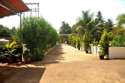 a hallway of a garden with palm trees and plants at Horizon Grande Apartments - Tarkarli in Malvan