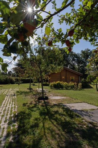Zahrada ubytování Bij de Appelhof