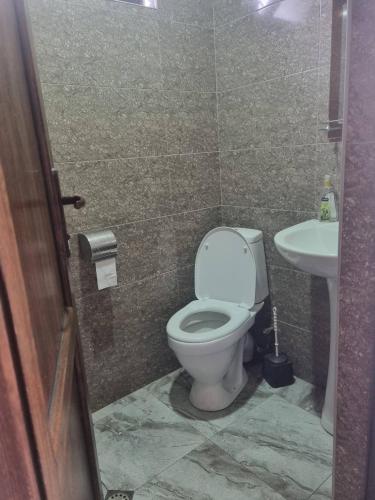 a bathroom with a toilet and a sink at Guest house DAVID in Borjomi