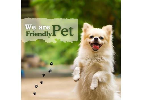 a dog running with a sign that says we are friendly pet at Olive Service Apartments - Greater Kailash in New Delhi