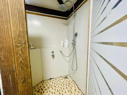a bathroom with a shower and a door at Maisons Familiales 101 m2 et 51 m2 Lagon, Plage & Détente, La Saline-les-Bains in La Saline les Bains