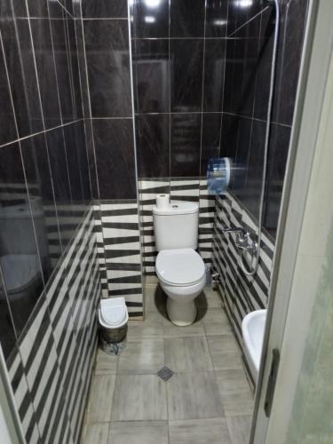 a small bathroom with a toilet and a sink at Kavela555 in Tbilisi City