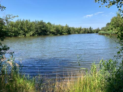a view of a lake with trees in the background at Lerbæk Naturpark in Frederikshavn