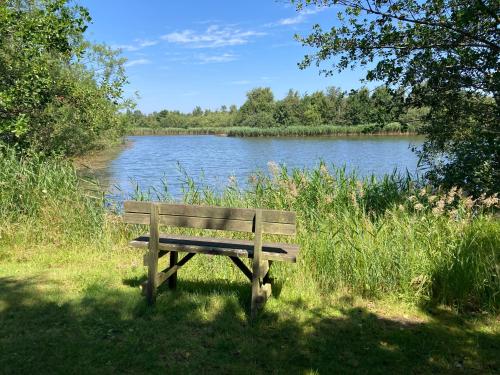a wooden bench sitting in the grass near a lake at Lerbæk Naturpark in Frederikshavn