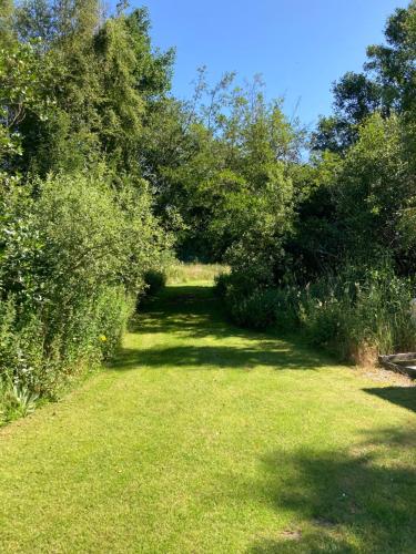 a field of grass with trees and a path at Lerbæk Naturpark in Frederikshavn
