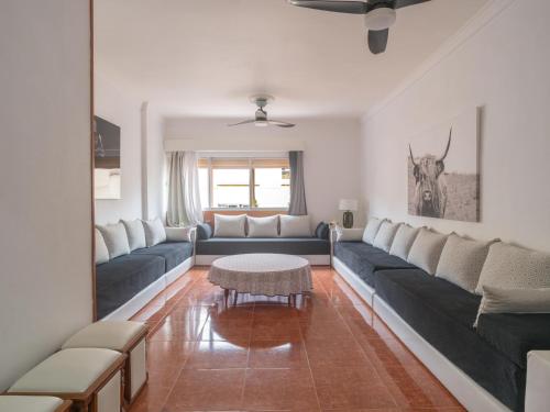 Live Las Palmas Wind Rose