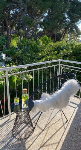 a bird tail sitting on a table with a glass at Autumn retreat Apartment Pula, Sea View, Terrace, Free Parking, Near Beach in Pula