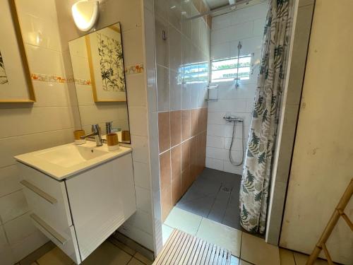 a bathroom with a sink and a shower at Maisons Familiales 101 m2 et 51 m2 Lagon, Plage & Détente, La Saline-les-Bains in La Saline les Bains