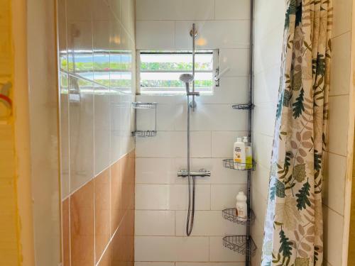 a shower with a glass door in a bathroom at Maisons Familiales 101 m2 et 51 m2 Lagon, Plage & Détente, La Saline-les-Bains in La Saline les Bains