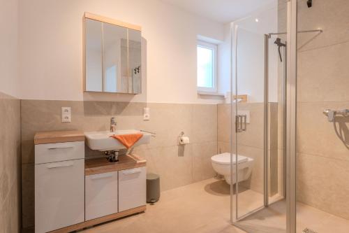 a bathroom with a toilet and a sink and a shower at Ferienwohnungen Mäusenest in Neroth