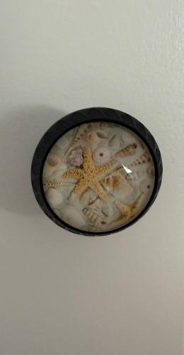 a black container with a starfish on a ceiling at Beach View Apartment in West Kirby