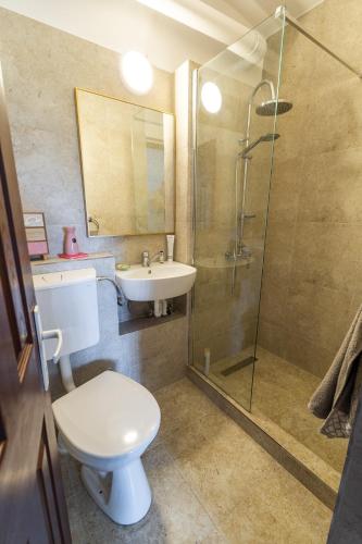 a bathroom with a toilet and a sink and a shower at Lake Experience - Casa de vacanta in Măineasca