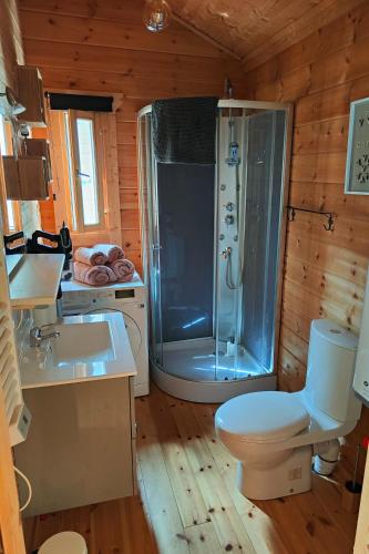 a bathroom with a shower and a toilet and a sink at Le Finland labélisé 3 étoiles in Bourbourg
