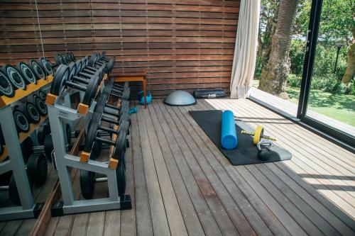 Fitness centrum a/nebo fitness zařízení v ubytování Ellerman House