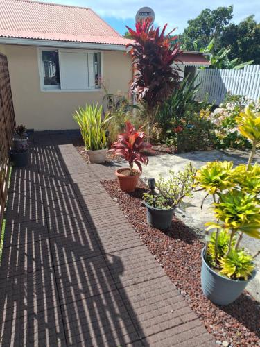 Jardin de l'établissement Notre Z'oiseau de Paradis
