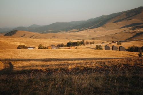 別荘の近くで見られる自然の景観