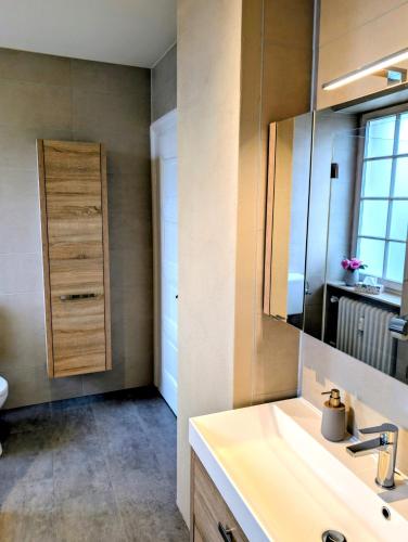a bathroom with a sink and a mirror at Wein- und Landhaus S A Prüm in Bernkastel-Kues