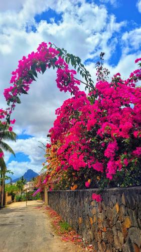 apparts 2 minutes plage Joyce