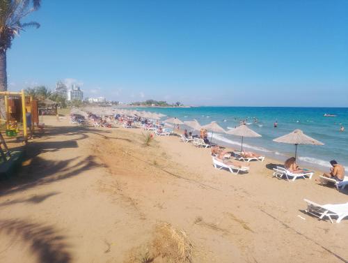 Photo de la galerie de l'établissement Cesar Resort Amelius, à Trikomo