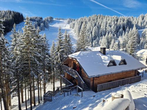 una cabaña de madera en la nieve con árboles nevados en Apartment MOUNTAIN PEARL Golte, en Mozirje