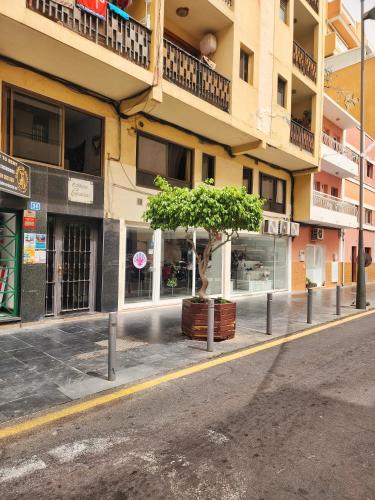 Cozy Studio Apartment B - Los Cristianos