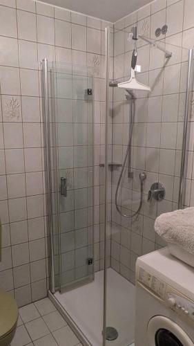 a shower with a glass door in a bathroom at Ferienwohnung Bei Grüns - nur Urlaubsgäste in Konz