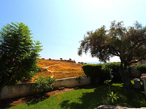 Villa Flora